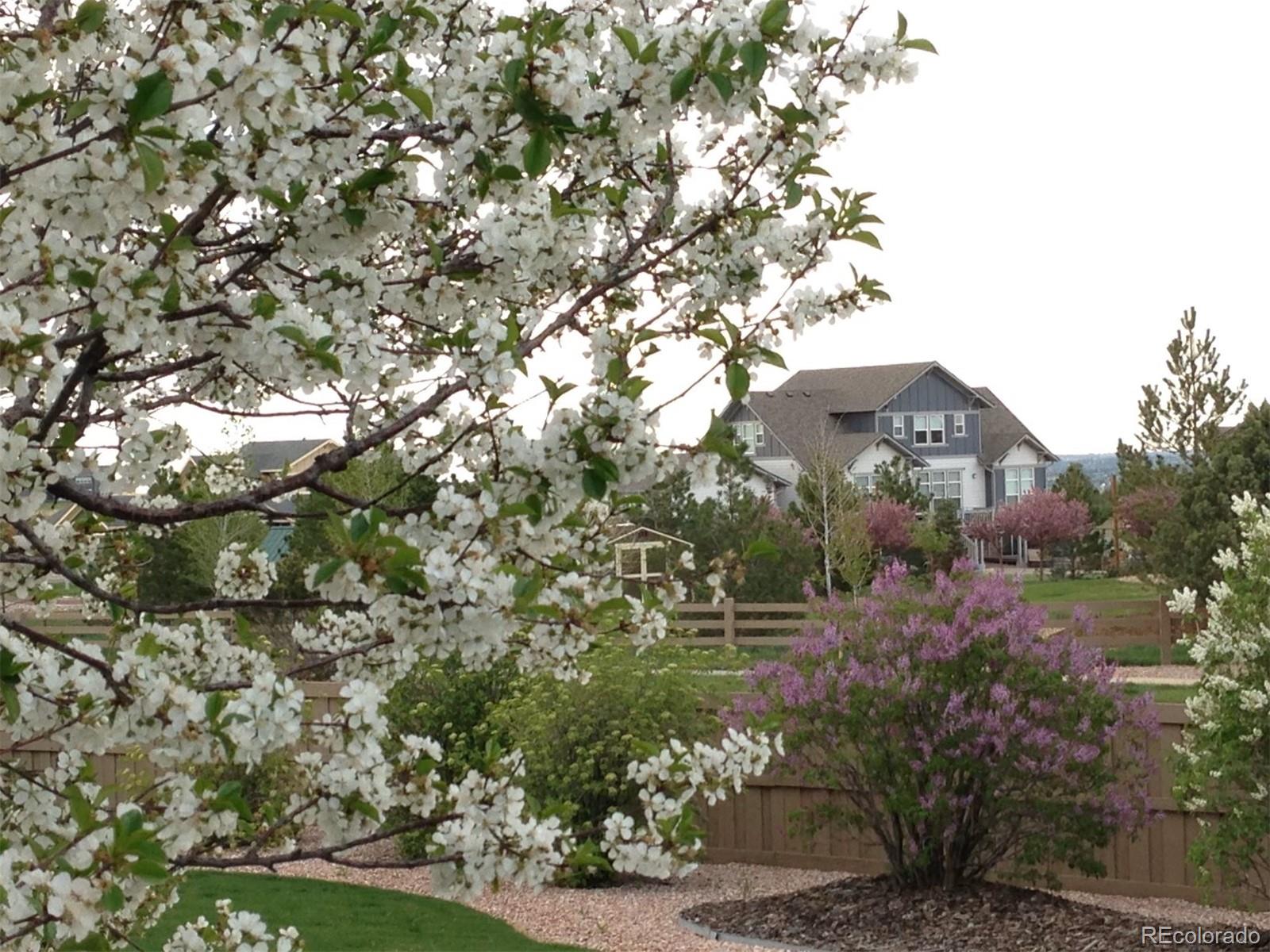 MLS Image #48 for 7183  winthrop court,castle rock, Colorado
