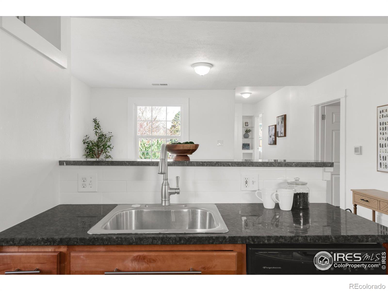 MLS Image #11 for 1669 s lincoln street,denver, Colorado