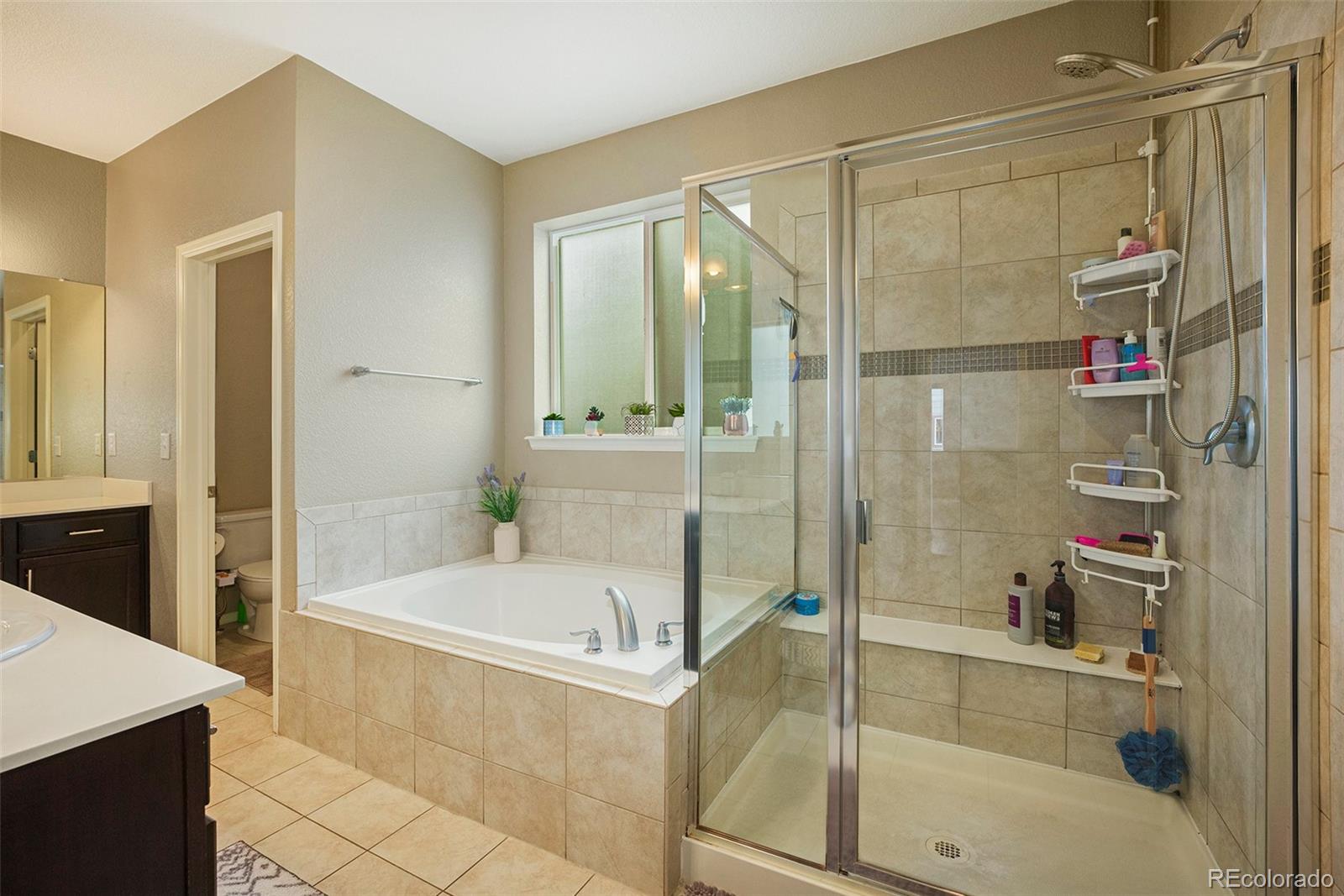 MLS Image #18 for 7877 e 139th place,brighton, Colorado