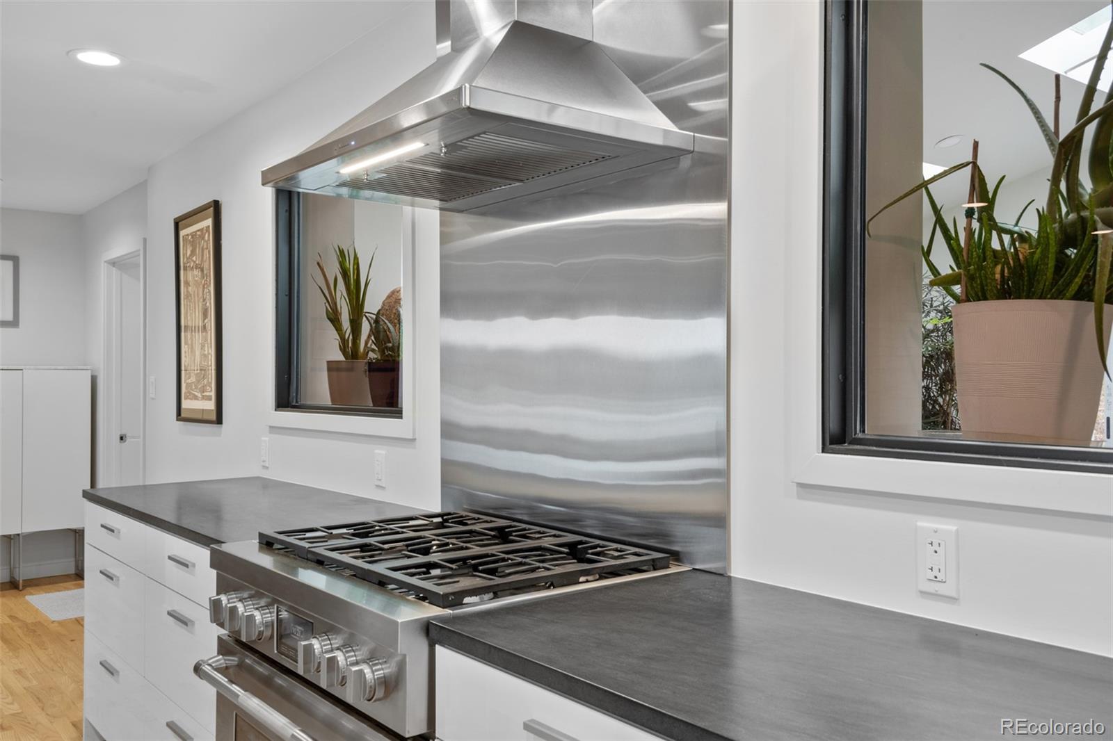 MLS Image #12 for 2070  willow lane,lakewood, Colorado