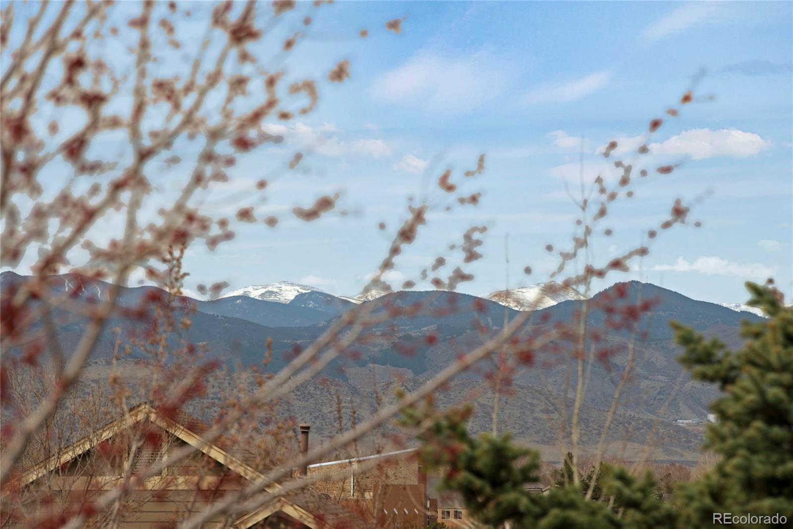 MLS Image #33 for 9847  mulberry way,highlands ranch, Colorado