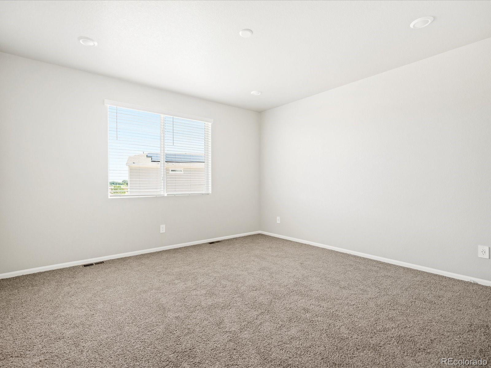MLS Image #25 for 1659  rumley creek drive,windsor, Colorado