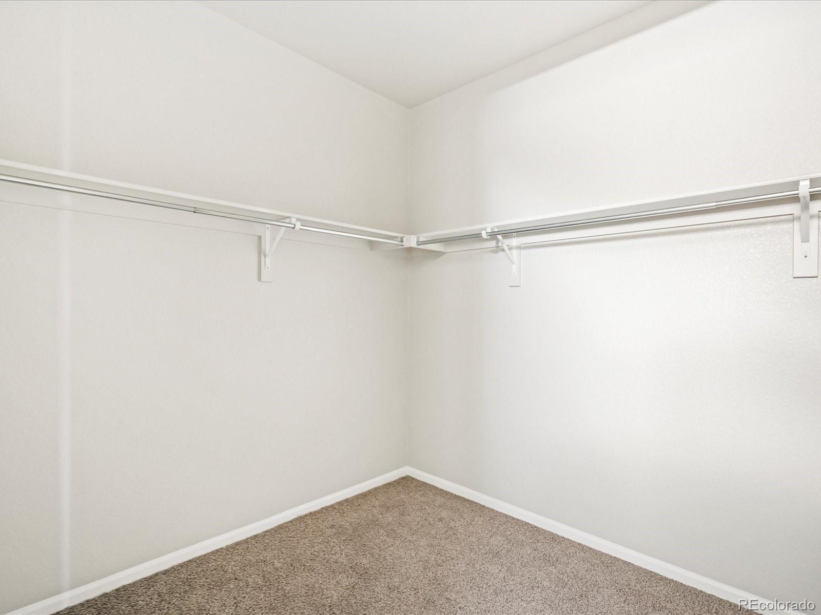 MLS Image #27 for 1659  rumley creek drive,windsor, Colorado