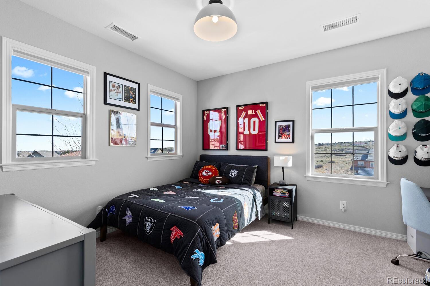 MLS Image #23 for 1240  starglow place,highlands ranch, Colorado