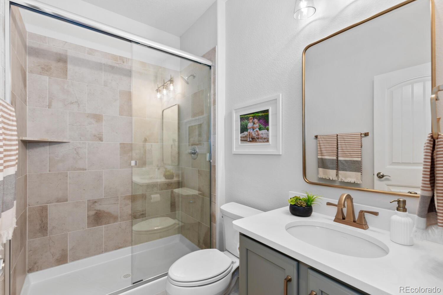 MLS Image #8 for 1240  starglow place,highlands ranch, Colorado