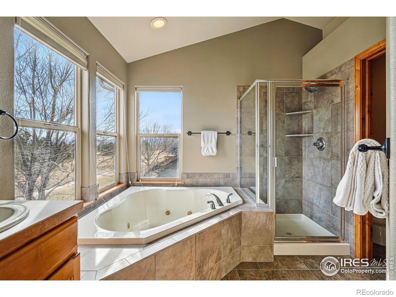 MLS Image #23 for 4803  brumby lane,fort collins, Colorado