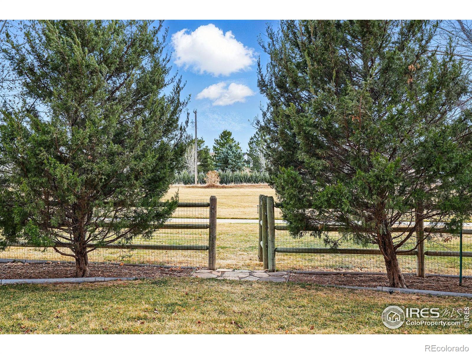 MLS Image #30 for 4803  brumby lane,fort collins, Colorado
