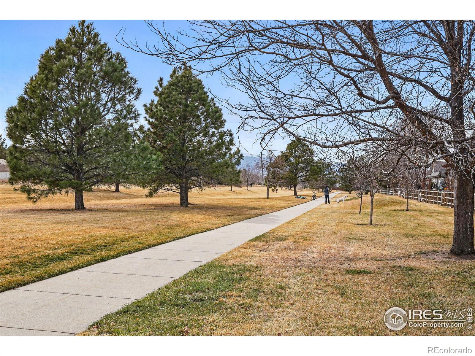 MLS Image #33 for 4803  brumby lane,fort collins, Colorado