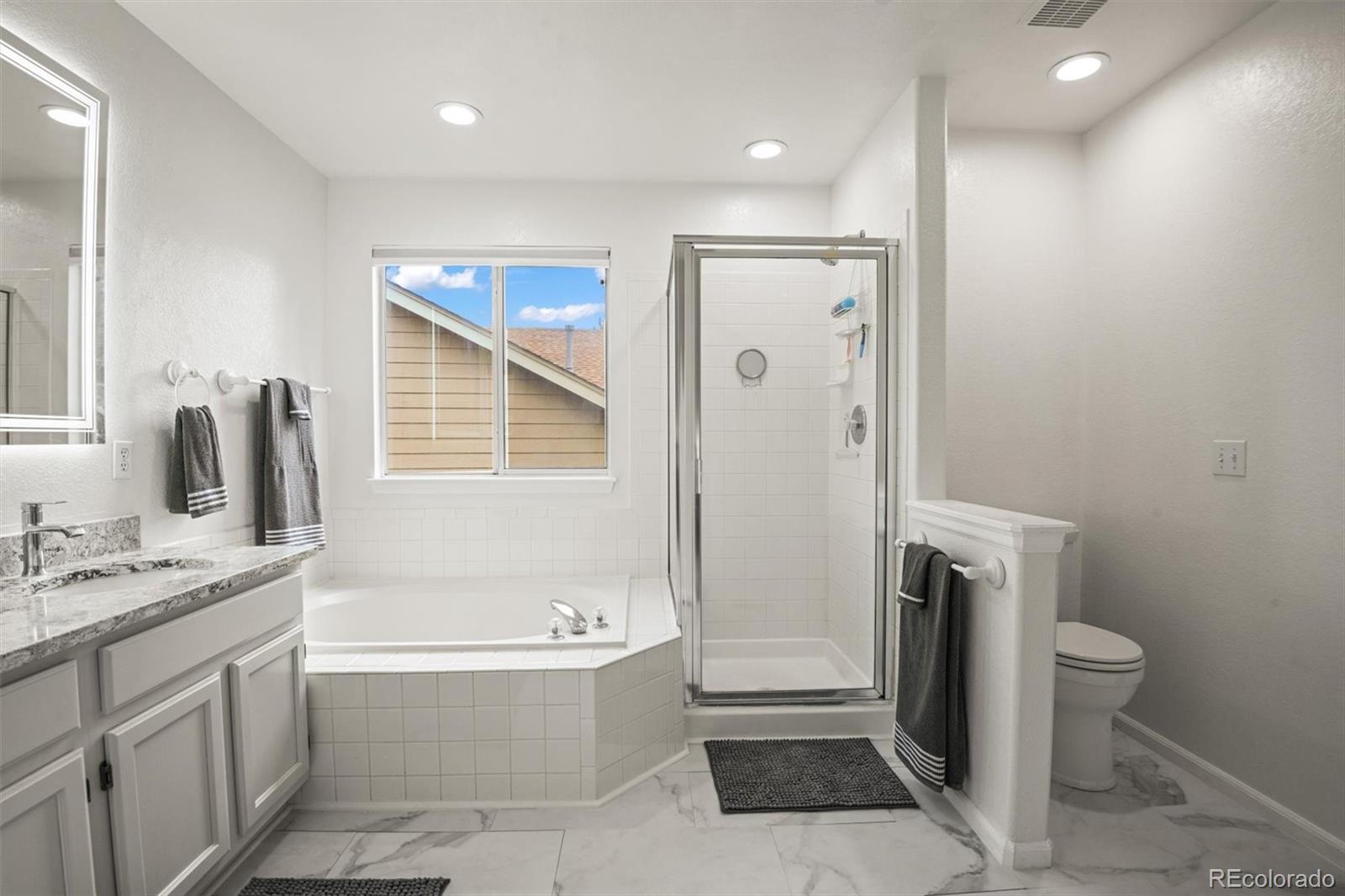 MLS Image #11 for 9976  deer creek street,highlands ranch, Colorado