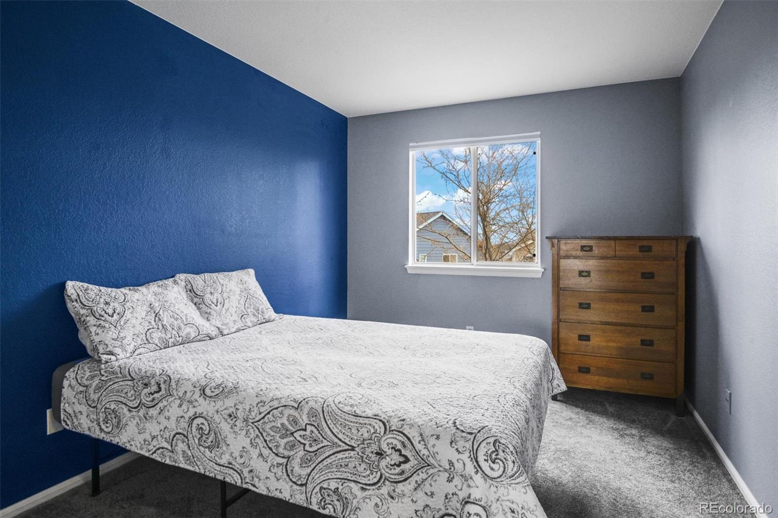MLS Image #15 for 9976  deer creek street,highlands ranch, Colorado