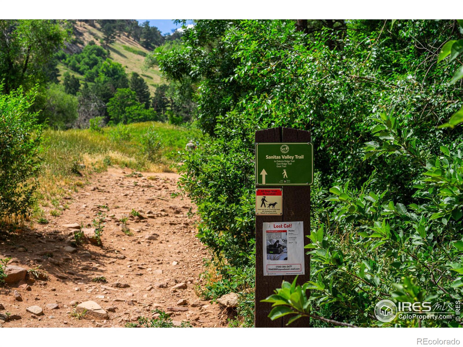 MLS Image #39 for 664  sunshine canyon drive,boulder, Colorado