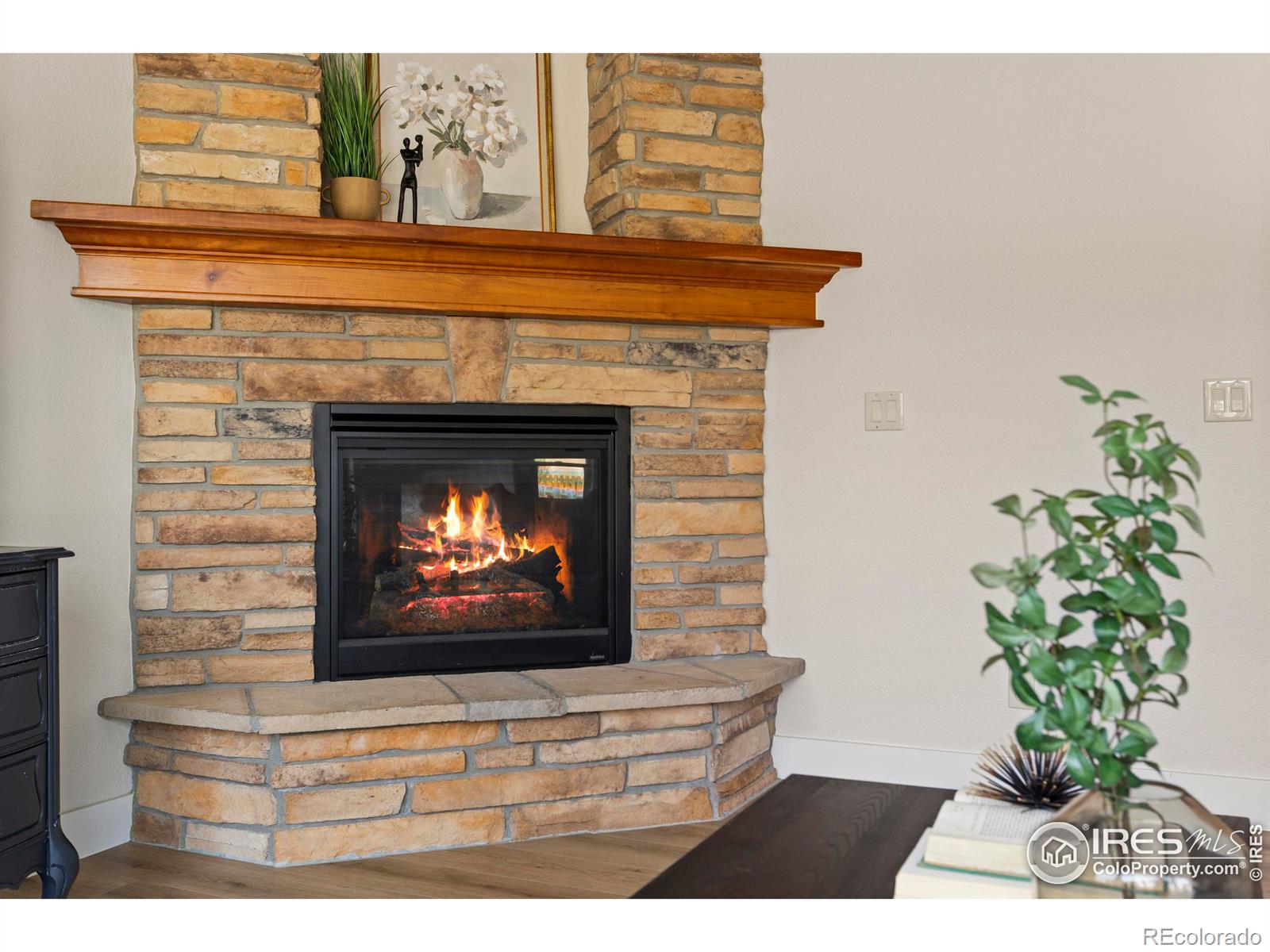MLS Image #8 for 4260  white deer lane,wellington, Colorado