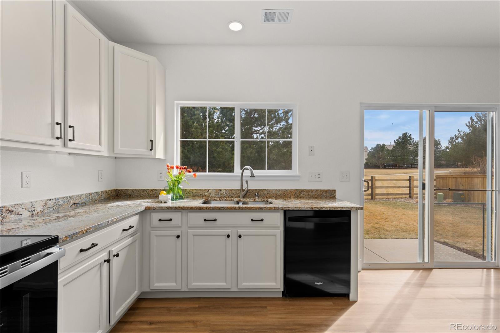 MLS Image #8 for 9300  longstone drive,parker, Colorado