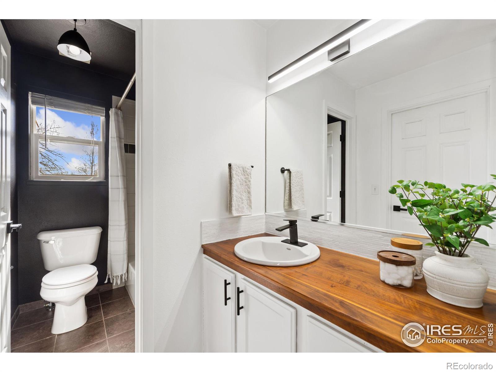 MLS Image #14 for 2608  arancia drive,fort collins, Colorado