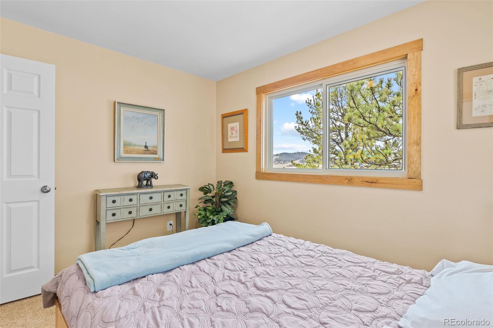 MLS Image #21 for 92  mesa verde way,hartsel, Colorado