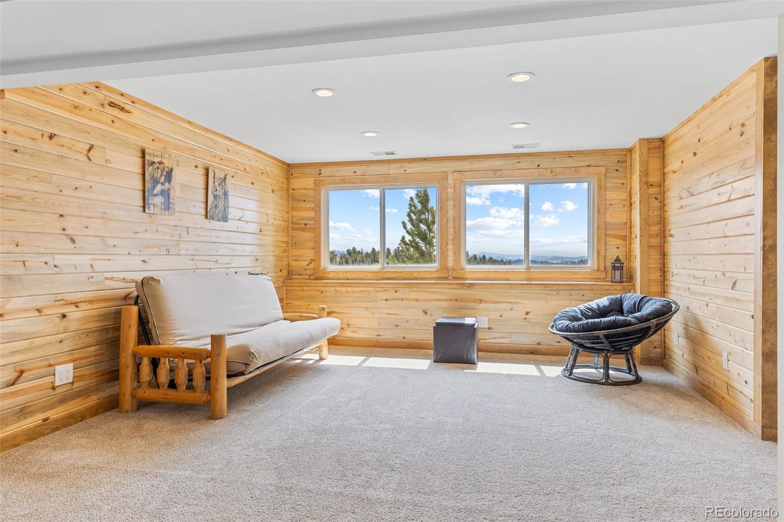 MLS Image #24 for 92  mesa verde way,hartsel, Colorado