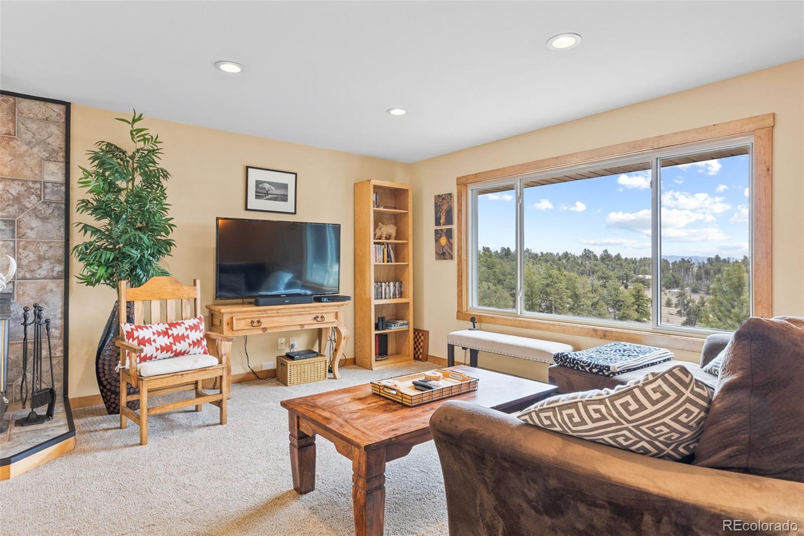 MLS Image #6 for 92  mesa verde way,hartsel, Colorado