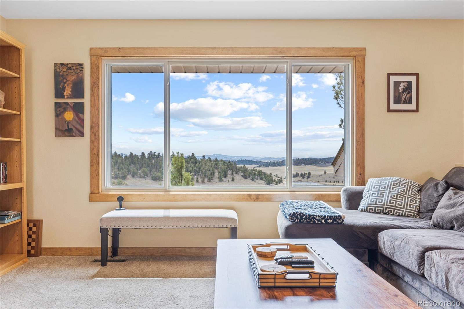 MLS Image #8 for 92  mesa verde way,hartsel, Colorado