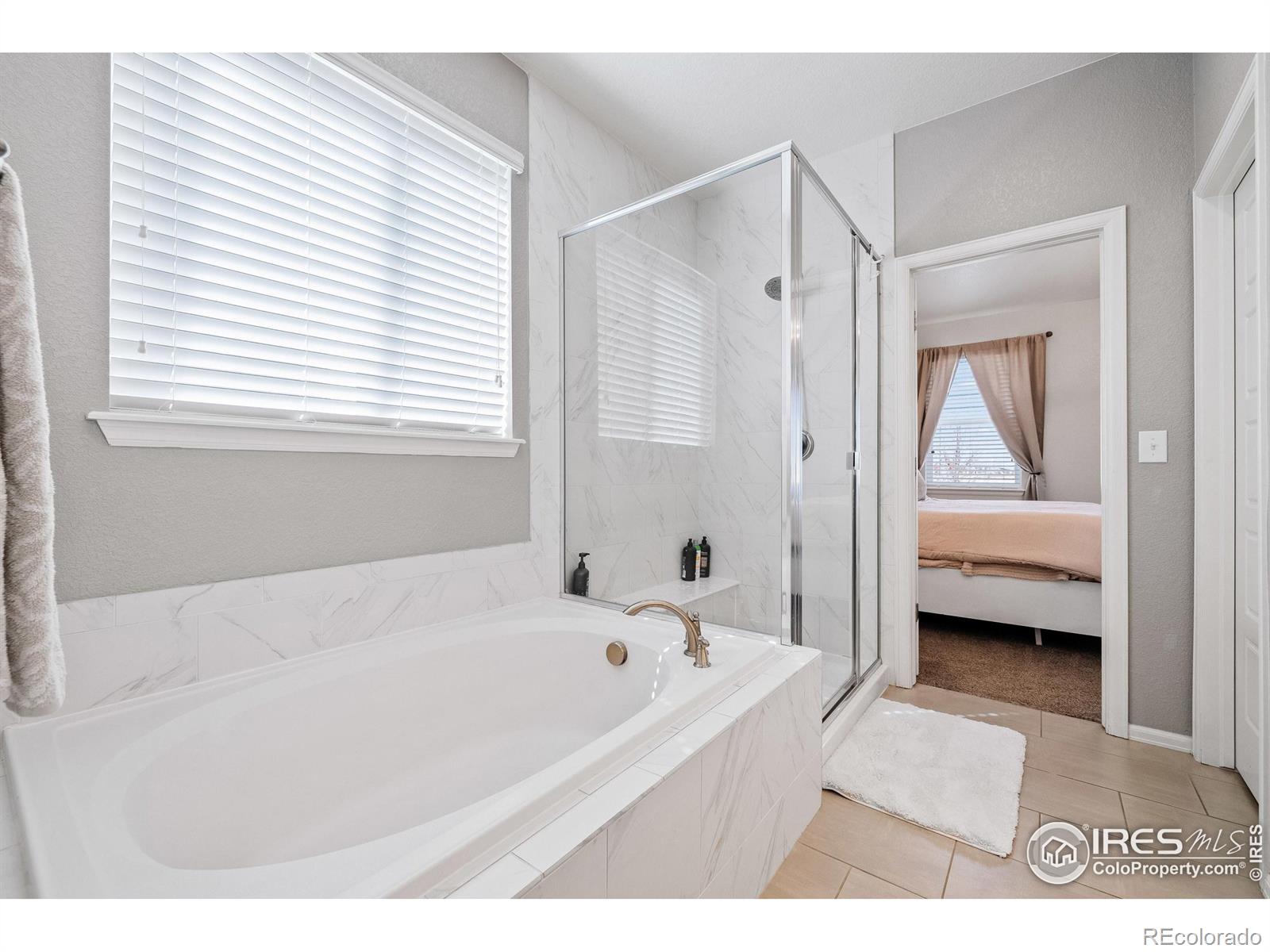 MLS Image #18 for 6124  story road,timnath, Colorado
