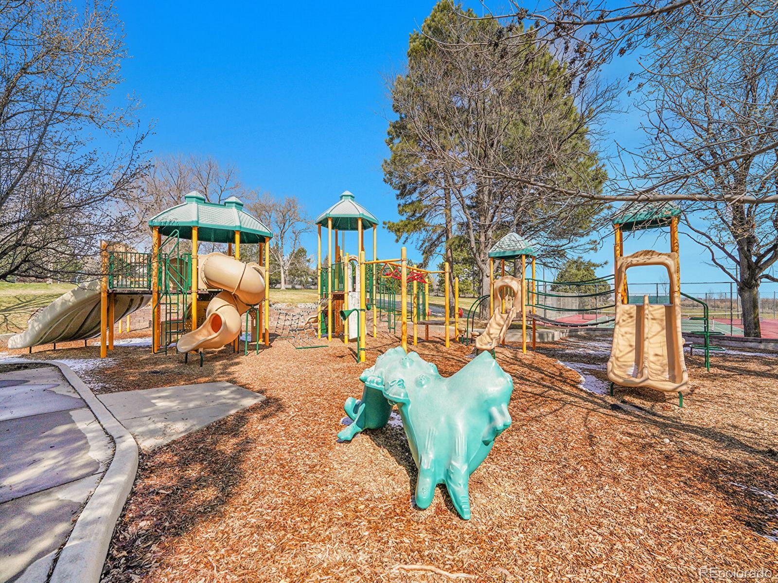 MLS Image #43 for 10768 e crestridge circle,englewood, Colorado