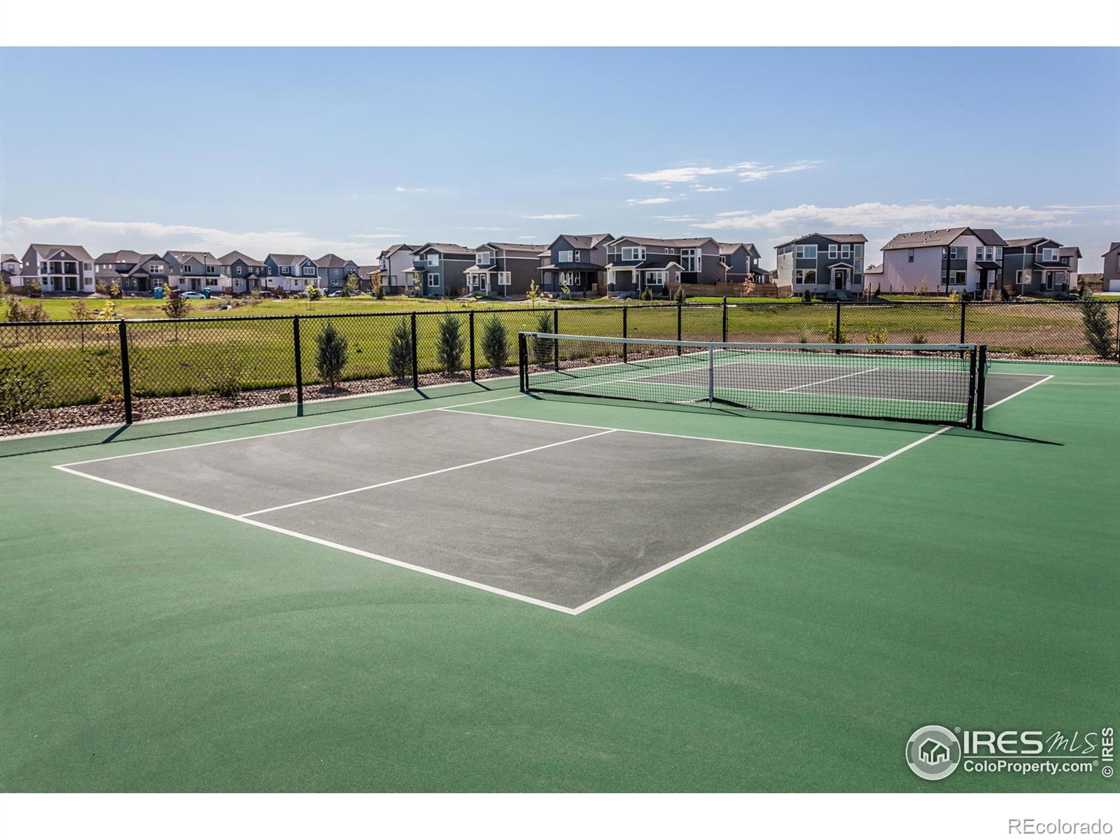 MLS Image #38 for 6001  denys drive,timnath, Colorado