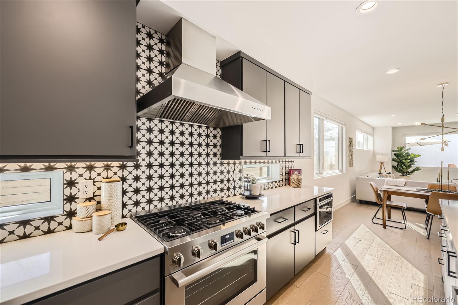 MLS Image #5 for 3701  lipan street,denver, Colorado