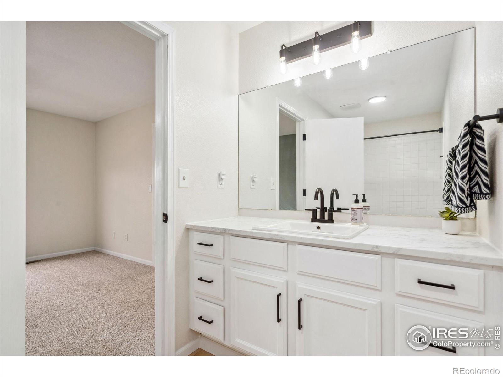 MLS Image #16 for 447  lark bunting avenue,loveland, Colorado