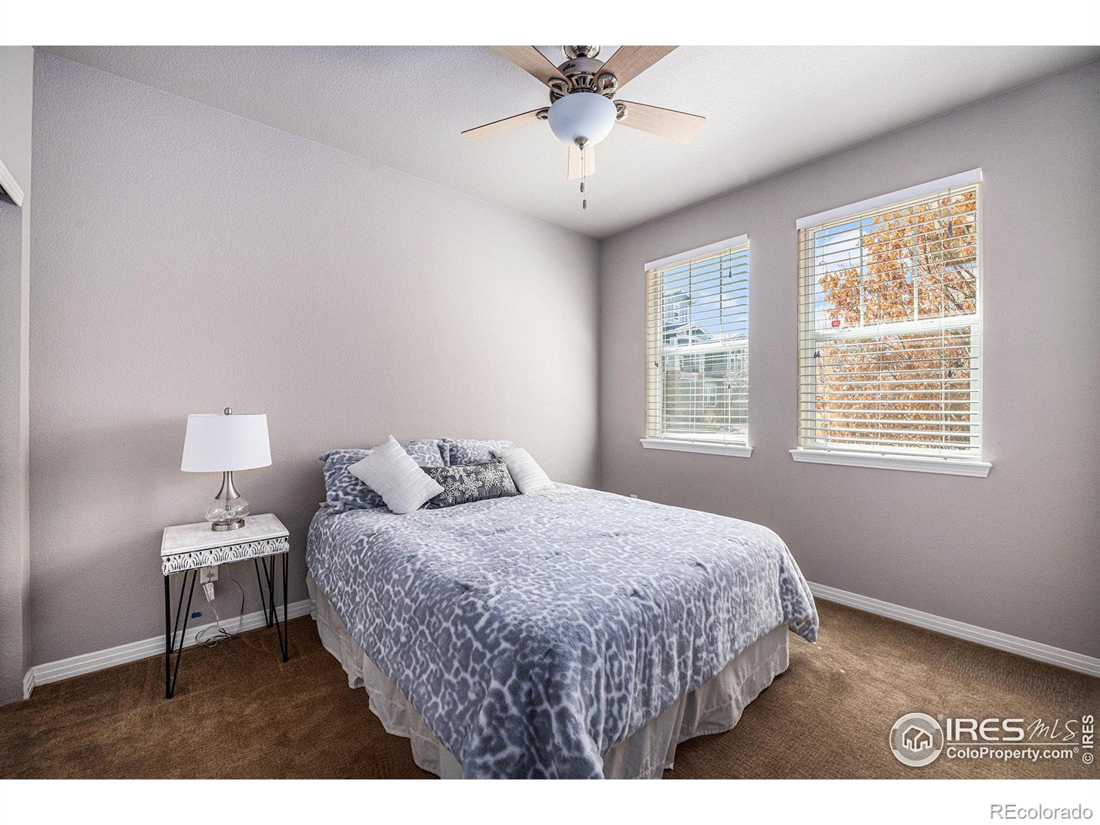 MLS Image #13 for 1612  venice lane,longmont, Colorado