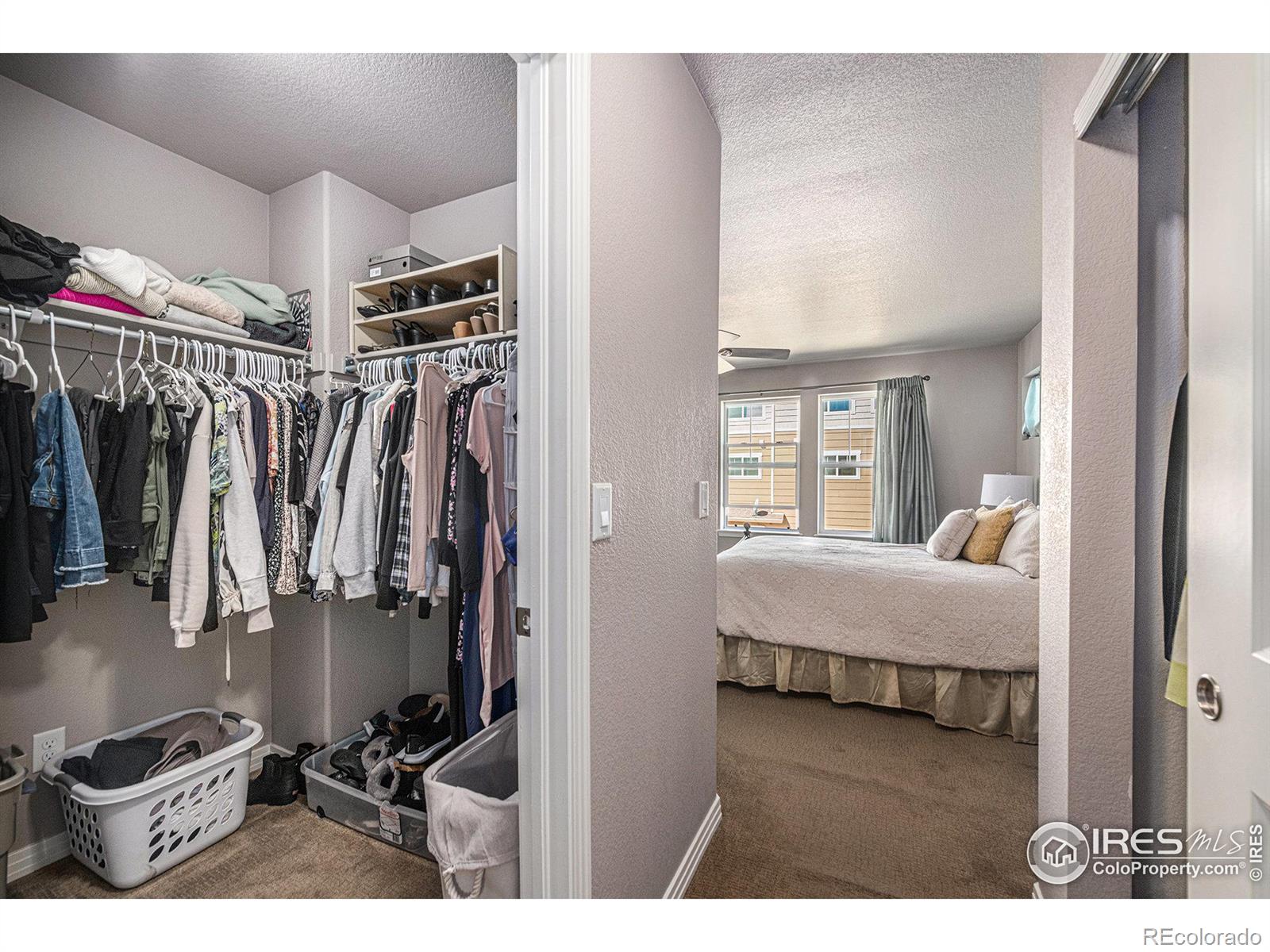 MLS Image #15 for 1612  venice lane,longmont, Colorado