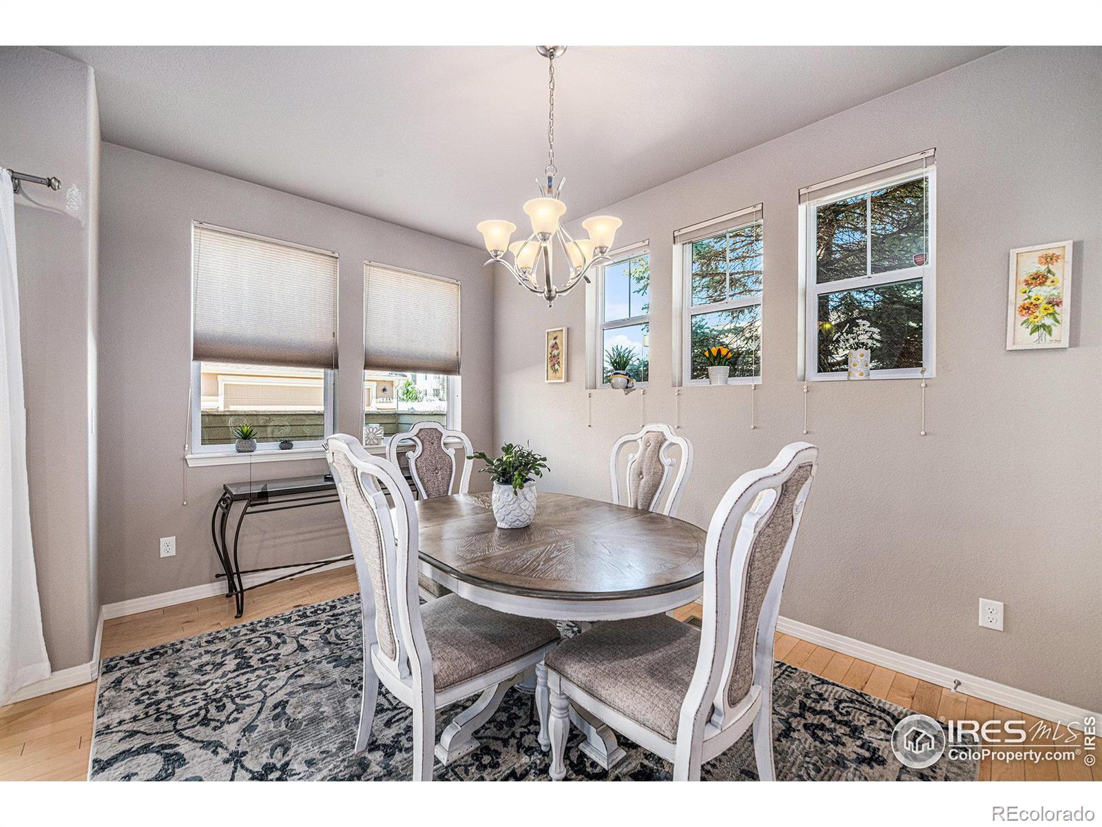 MLS Image #6 for 1612  venice lane,longmont, Colorado