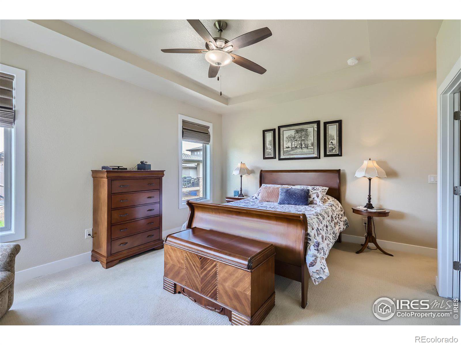 MLS Image #10 for 6924  water view court,timnath, Colorado