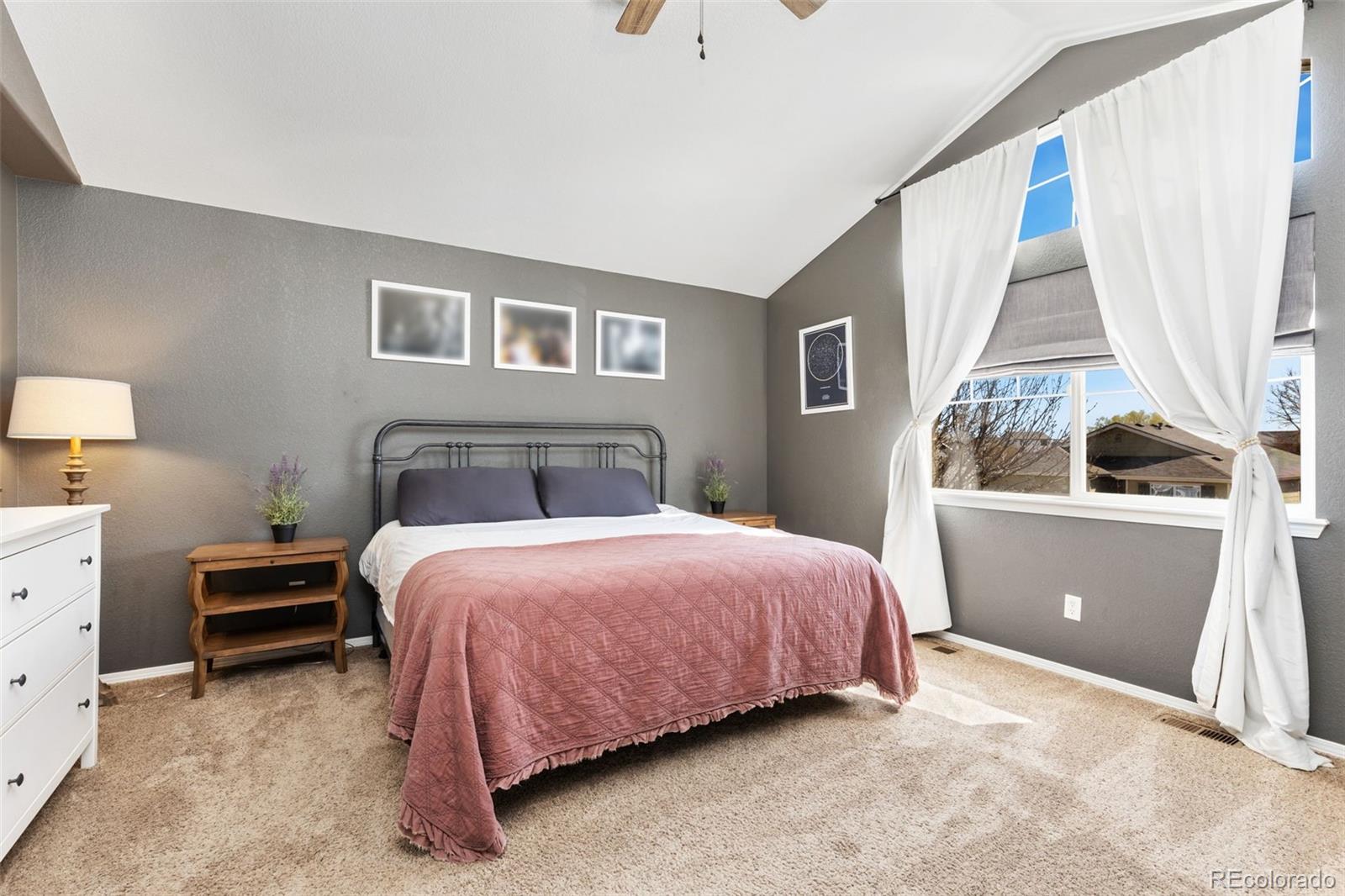 MLS Image #14 for 645  short court,dacono, Colorado