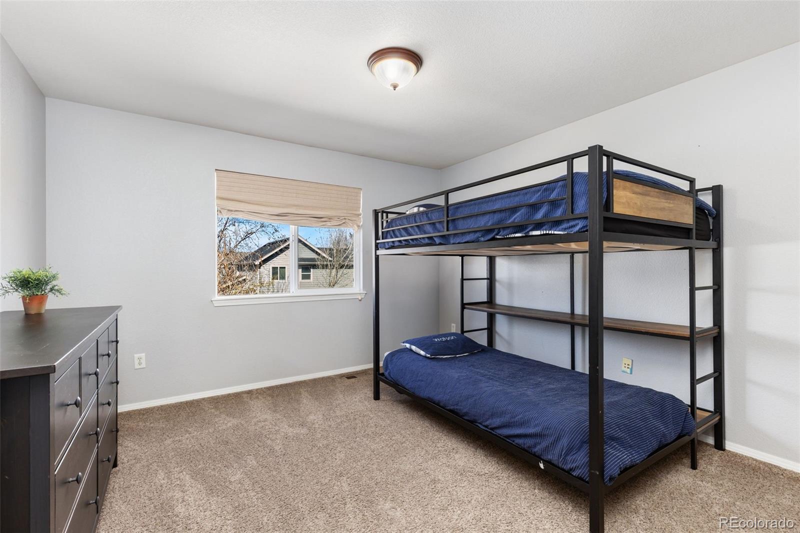 MLS Image #20 for 645  short court,dacono, Colorado