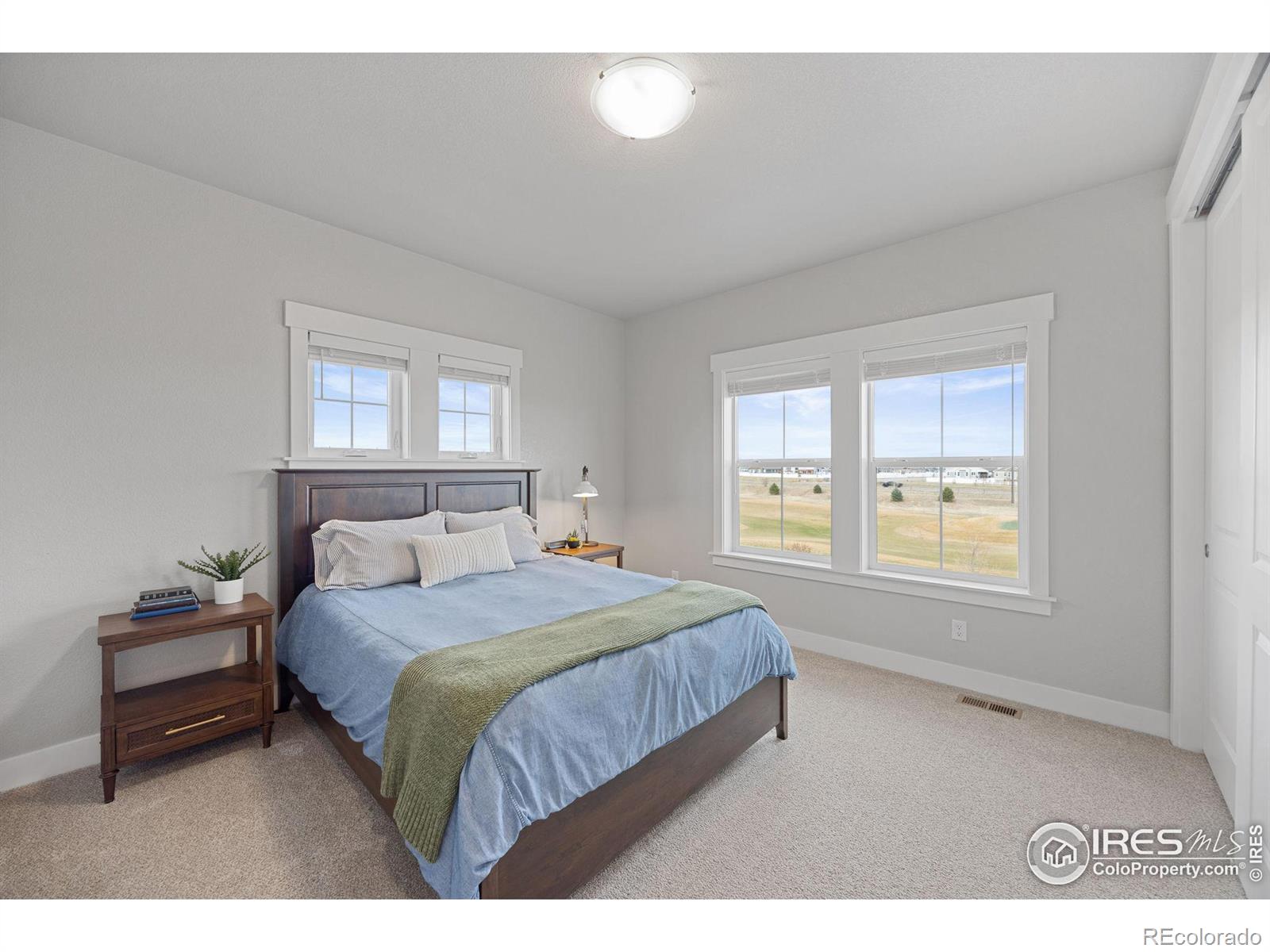 MLS Image #18 for 4272  ardglass lane,timnath, Colorado