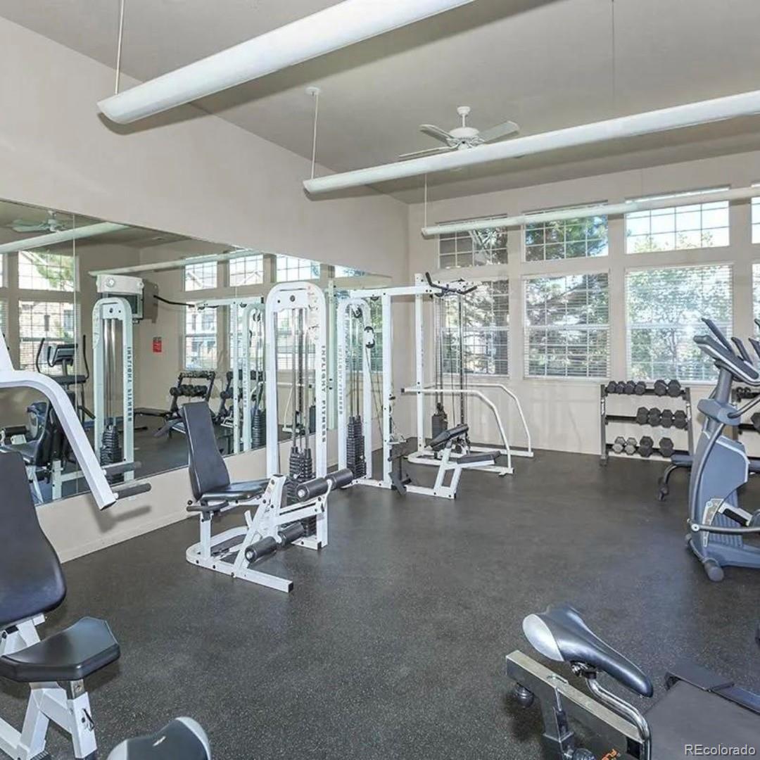 MLS Image #30 for 452  black feather loop,castle rock, Colorado