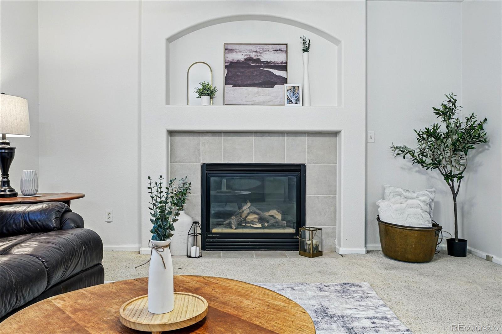 MLS Image #21 for 2574  cove creek court,highlands ranch, Colorado
