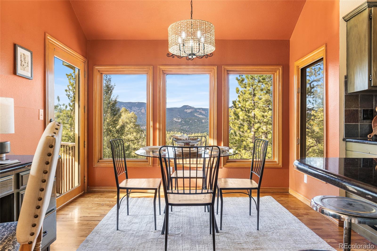MLS Image #13 for 32555  meadow ridge lane,pine, Colorado