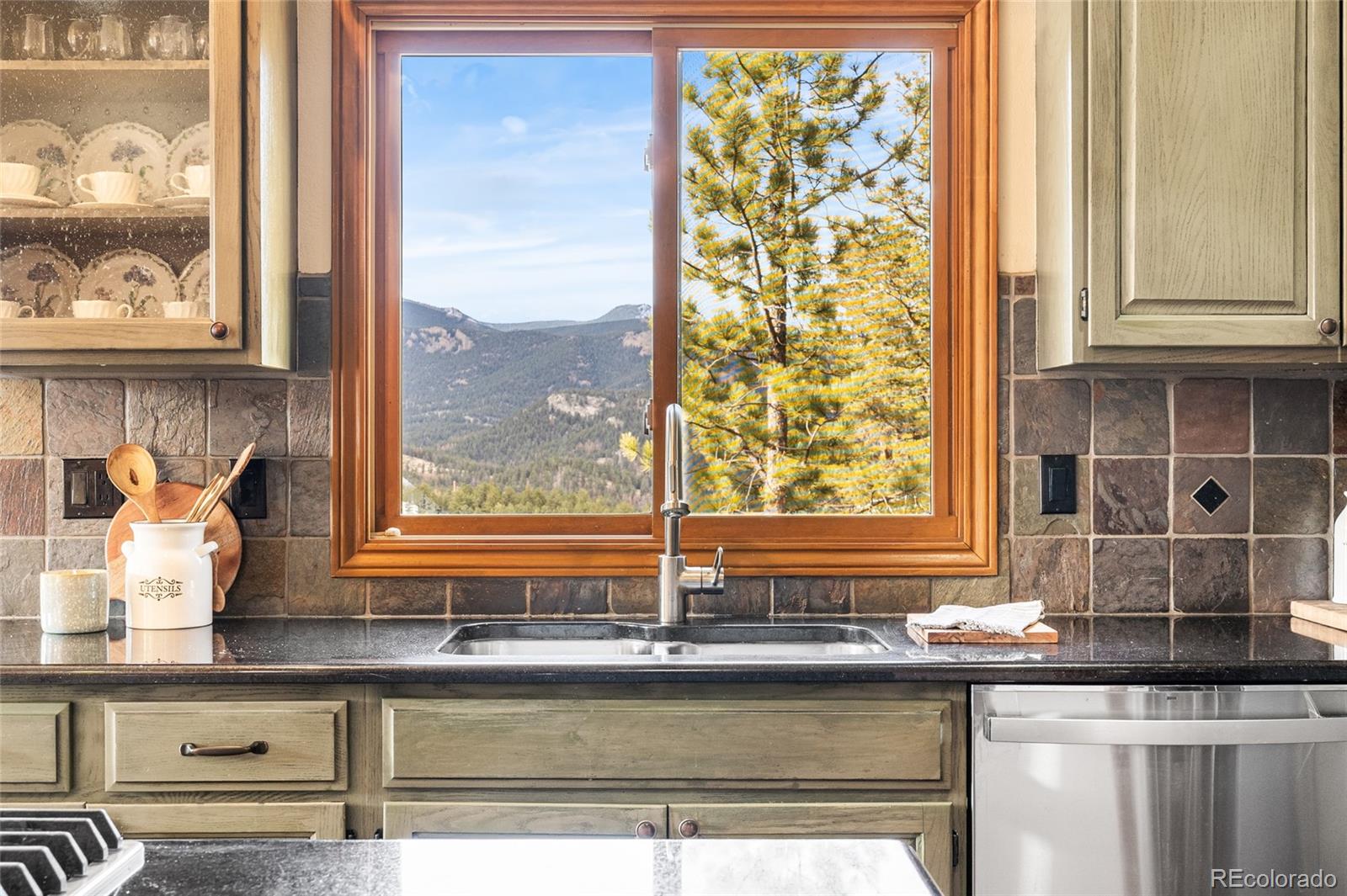 MLS Image #18 for 32555  meadow ridge lane,pine, Colorado