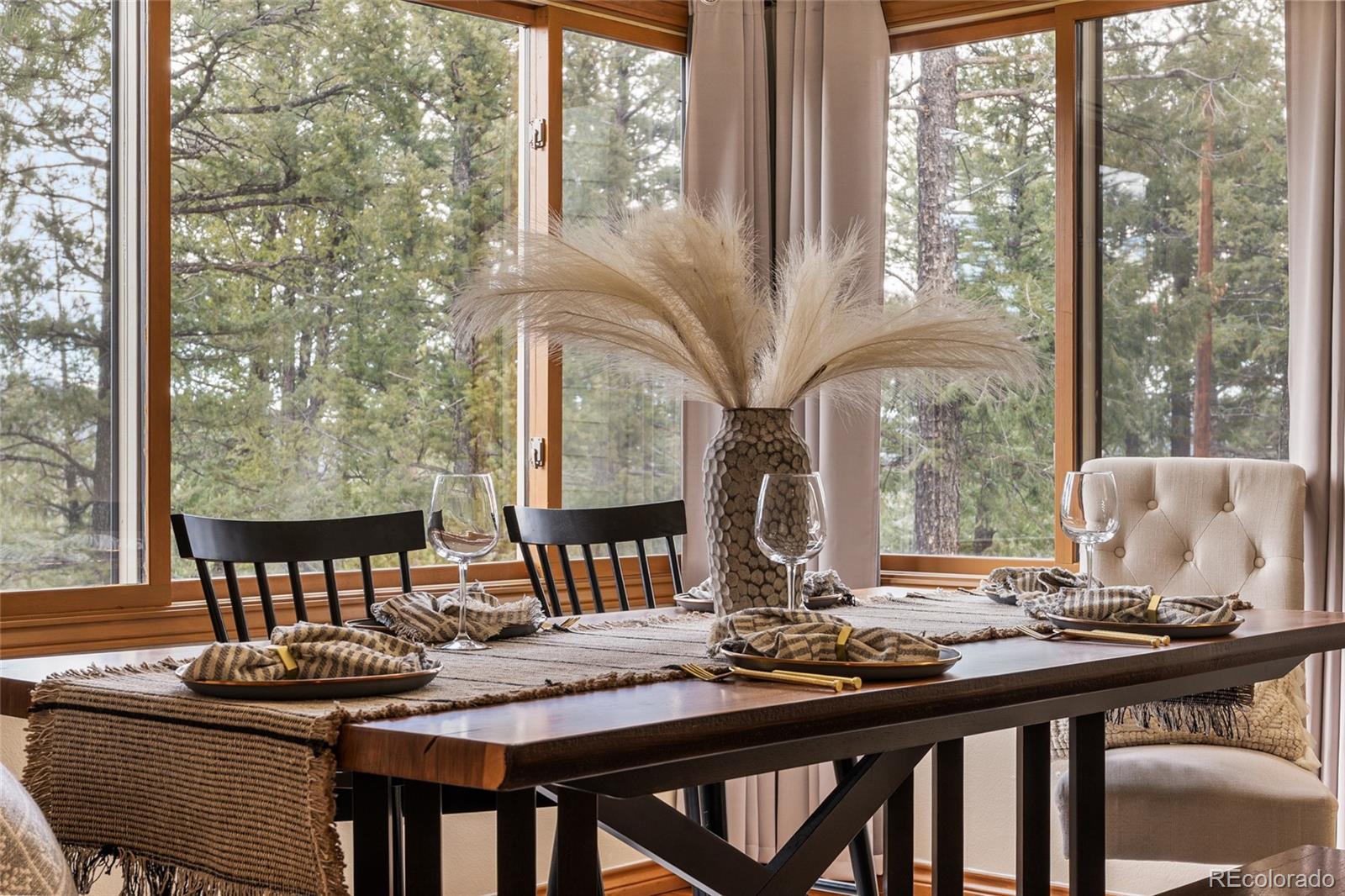 MLS Image #19 for 32555  meadow ridge lane,pine, Colorado