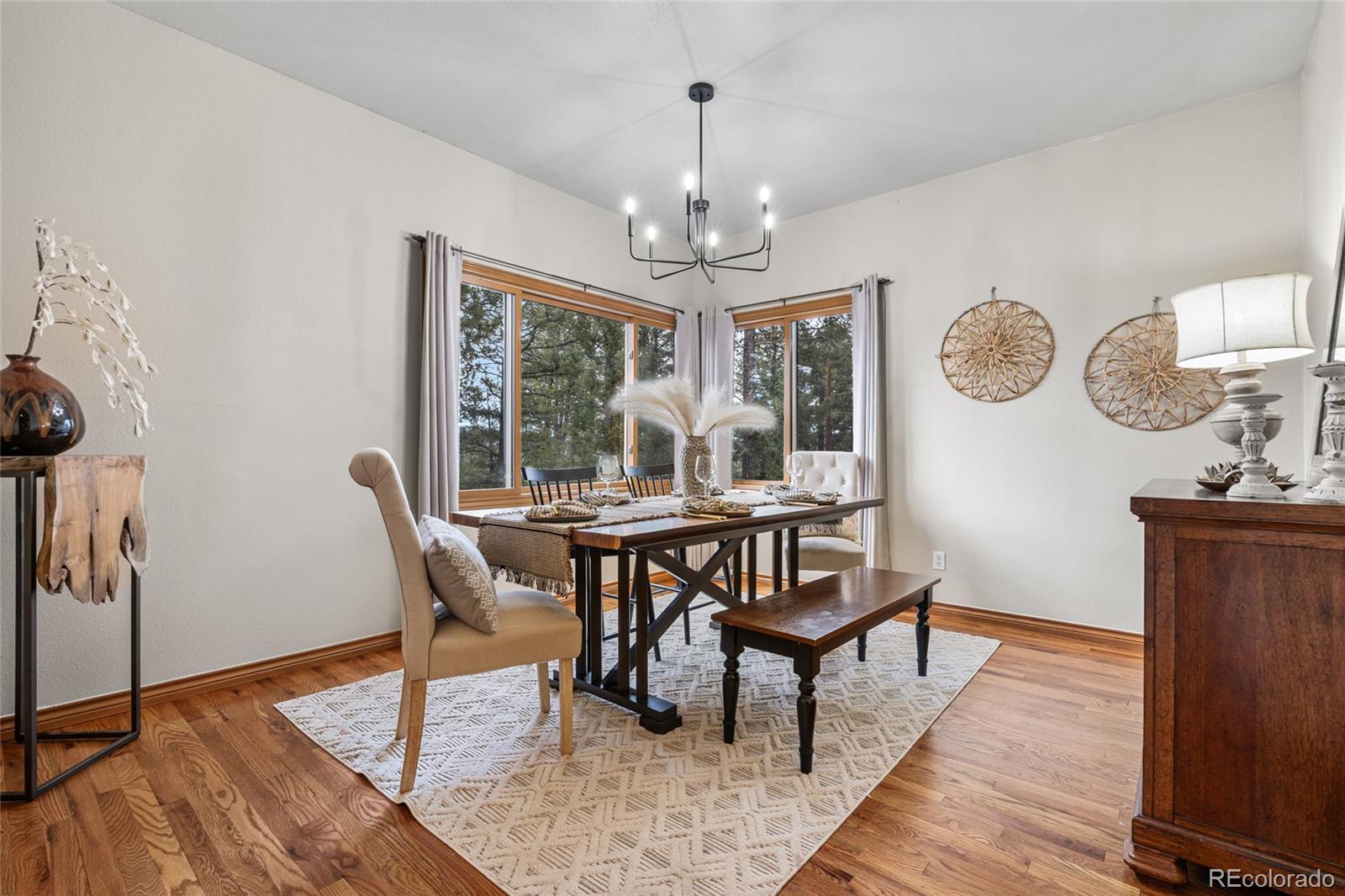 MLS Image #20 for 32555  meadow ridge lane,pine, Colorado