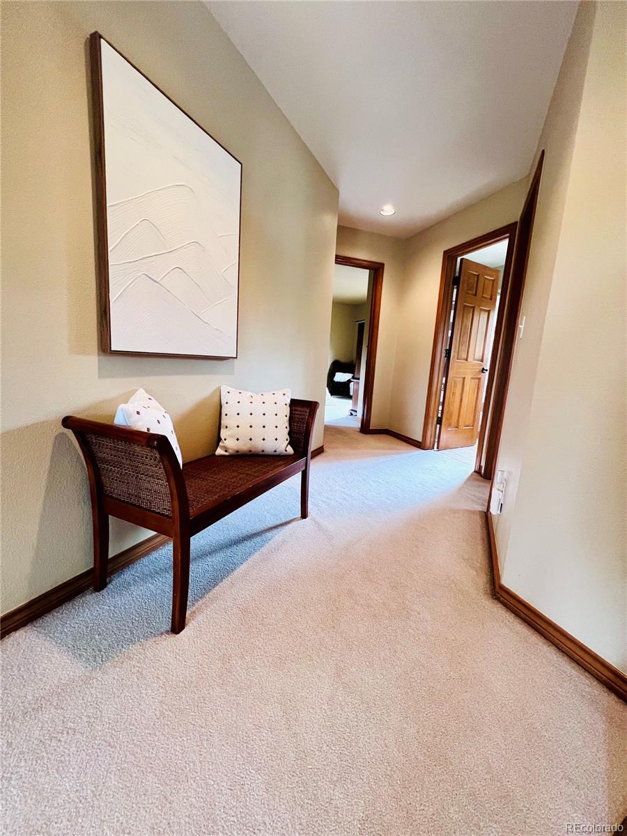 MLS Image #29 for 32555  meadow ridge lane,pine, Colorado