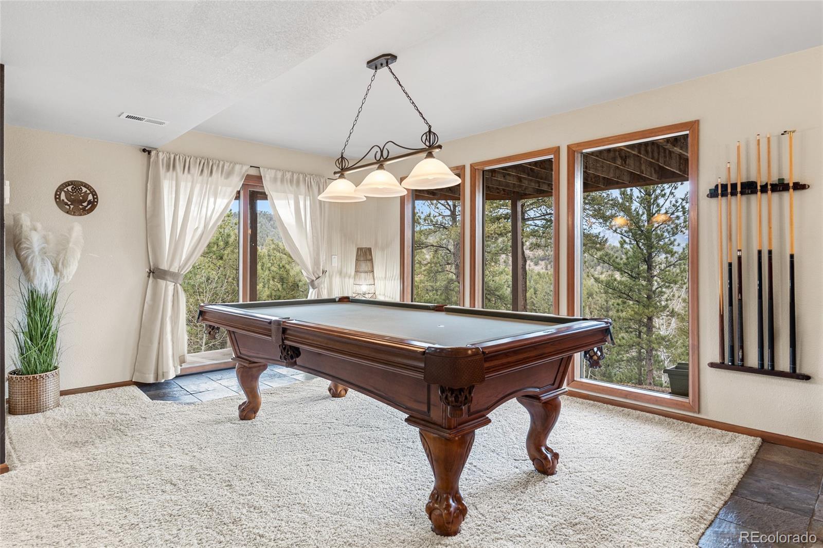 MLS Image #37 for 32555  meadow ridge lane,pine, Colorado