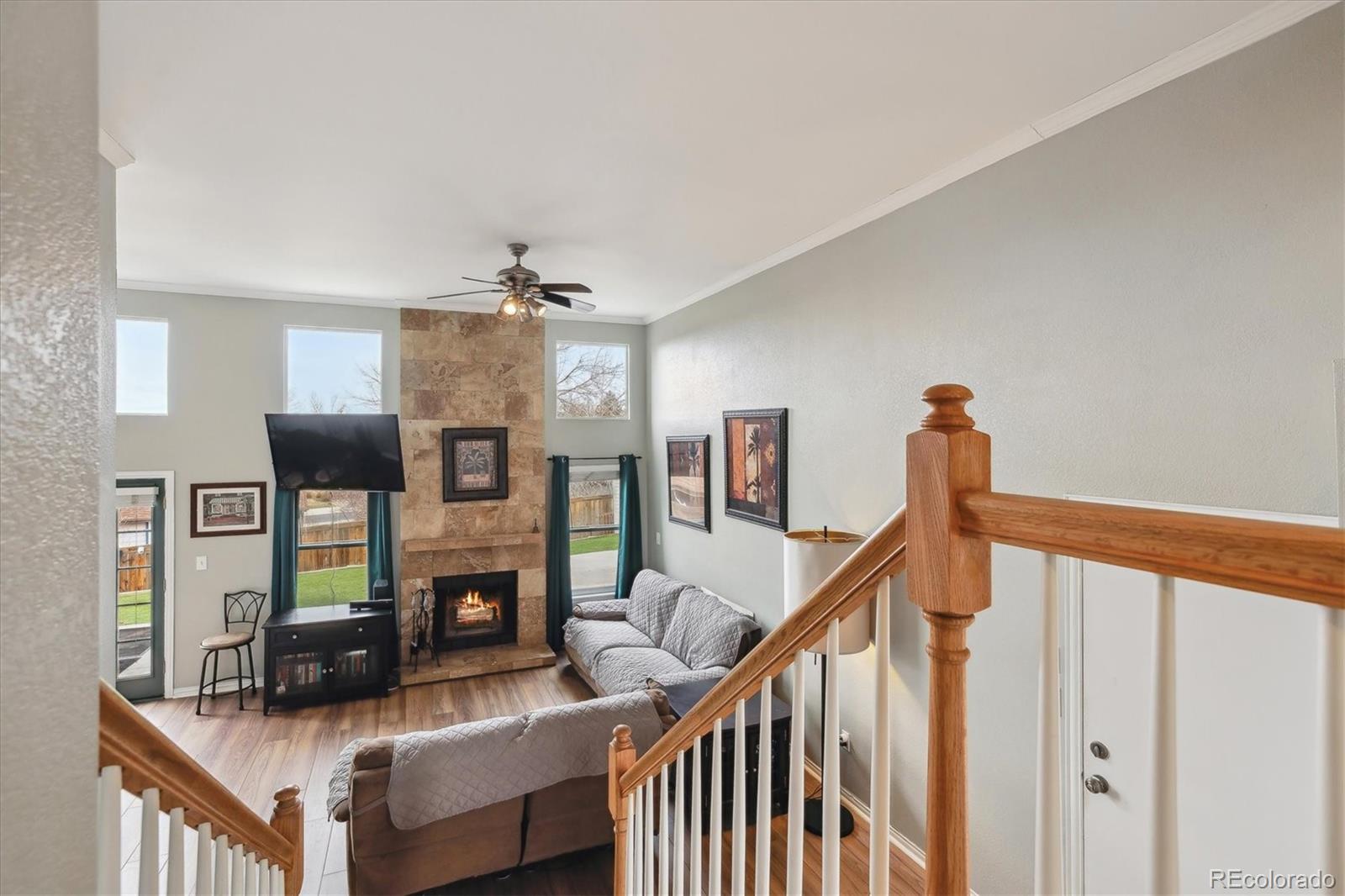 MLS Image #13 for 1063  lily court,highlands ranch, Colorado