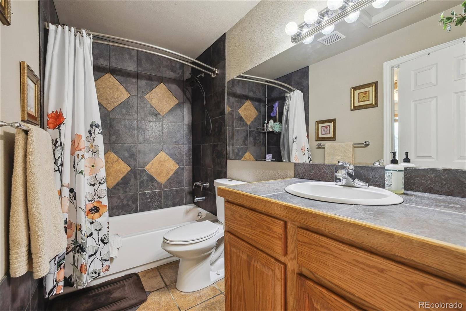 MLS Image #16 for 1063  lily court,highlands ranch, Colorado