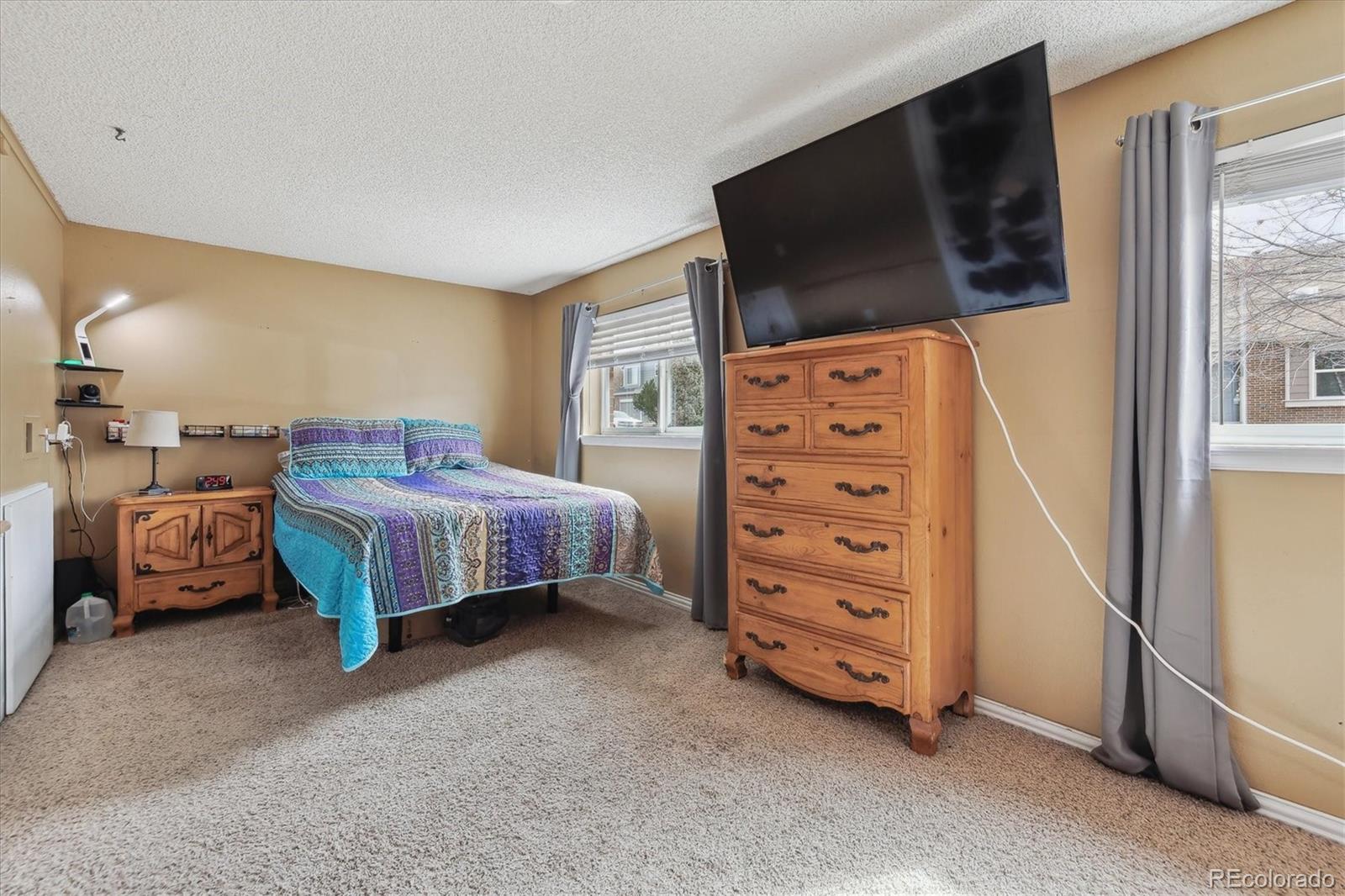 MLS Image #17 for 1063  lily court,highlands ranch, Colorado