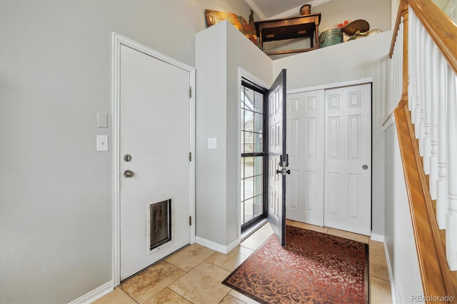 MLS Image #3 for 1063  lily court,highlands ranch, Colorado