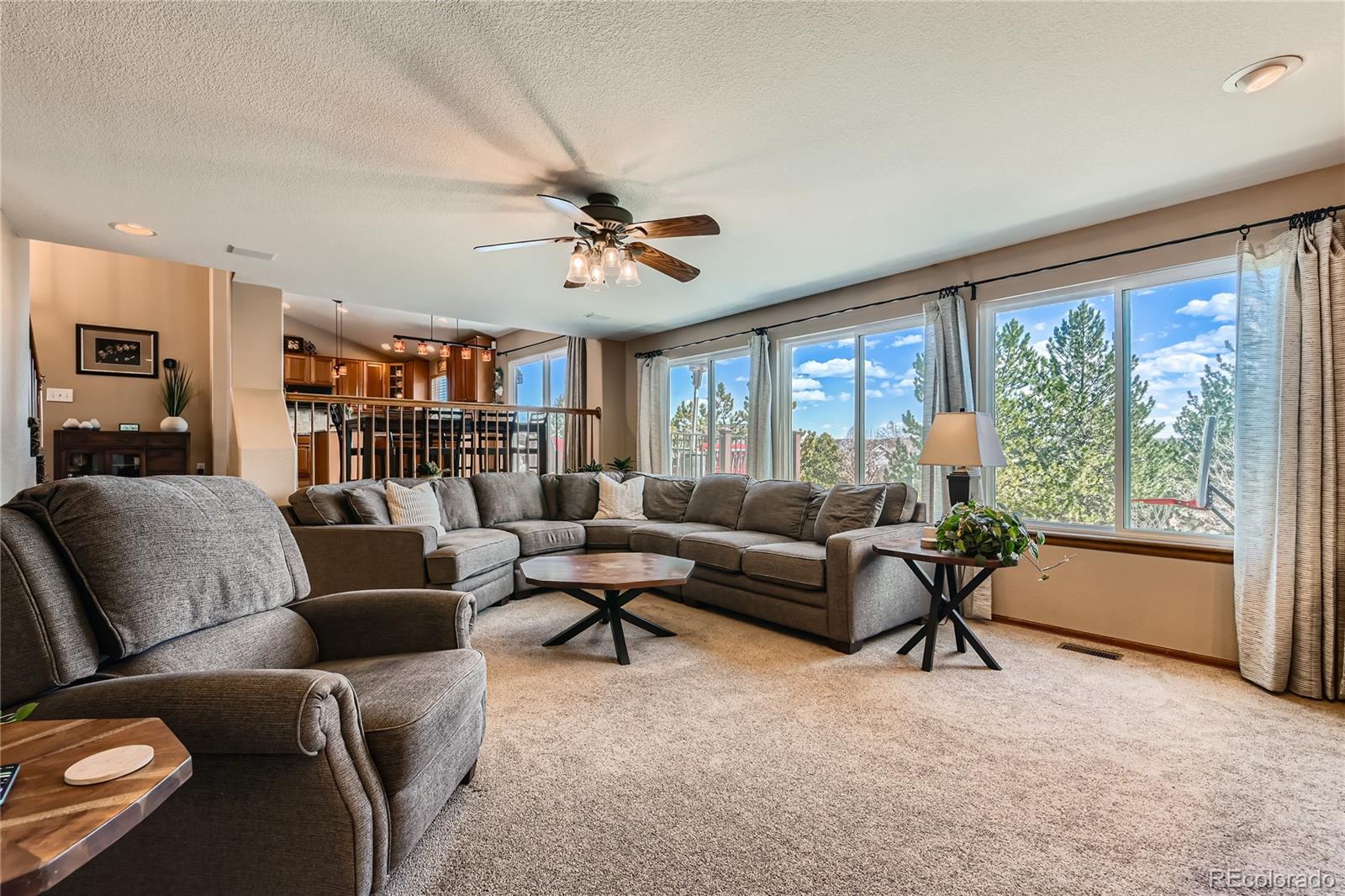 MLS Image #17 for 1742  rosemary drive,castle rock, Colorado