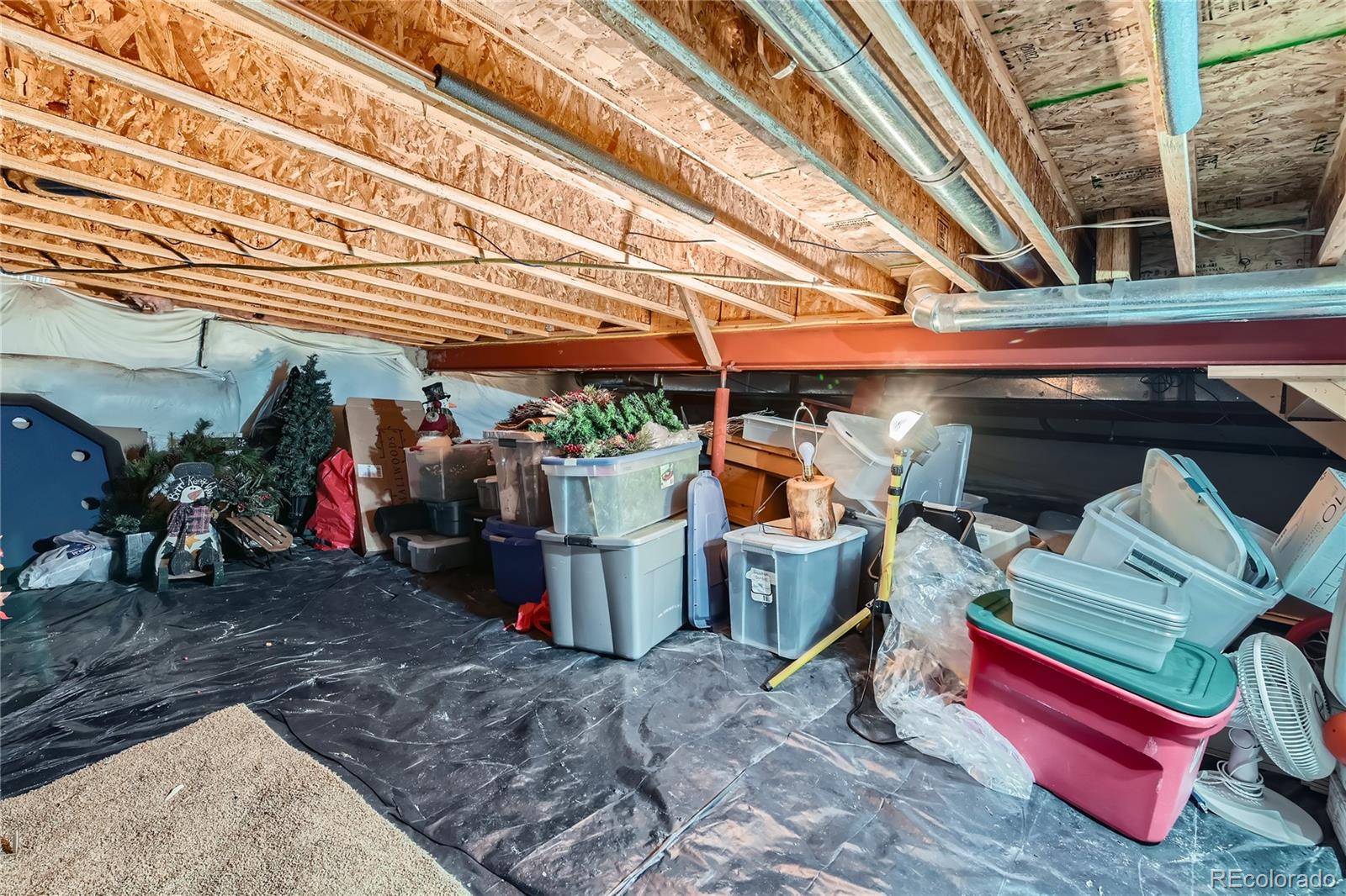 MLS Image #43 for 1742  rosemary drive,castle rock, Colorado