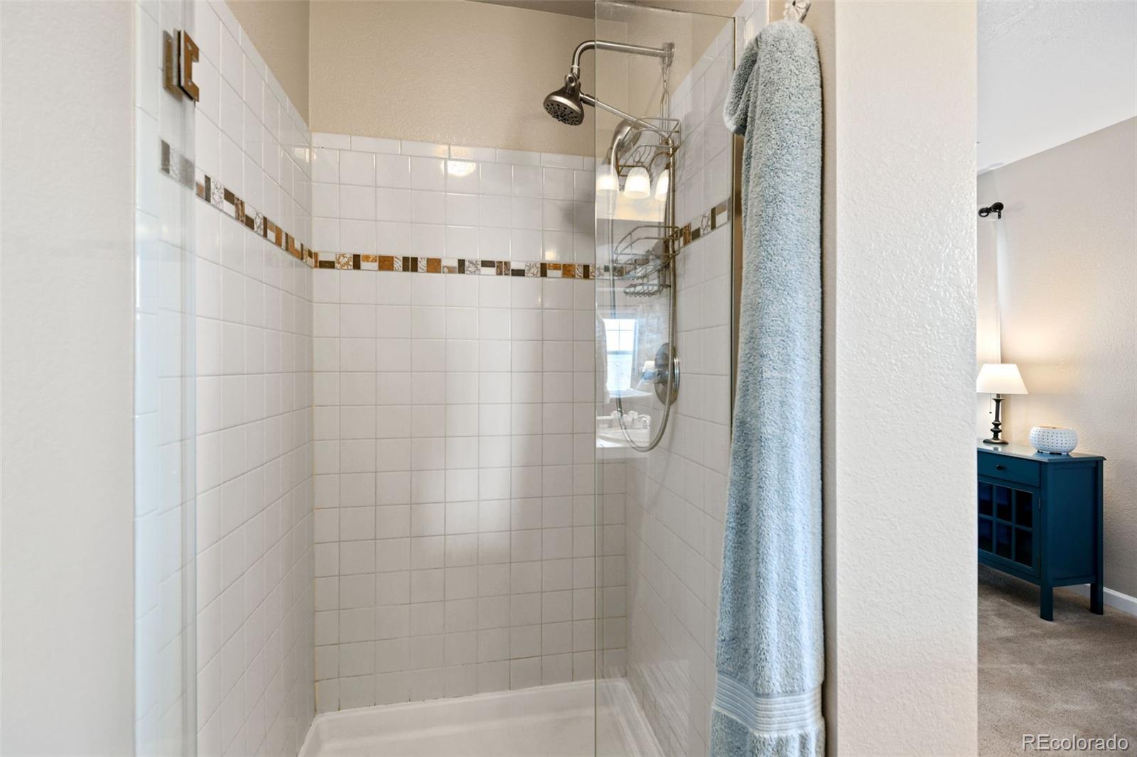 MLS Image #23 for 3662  eaglesong trail,castle rock, Colorado