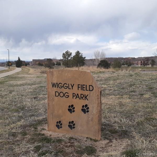 MLS Image #39 for 3662  eaglesong trail,castle rock, Colorado